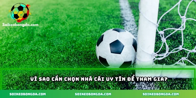 Lý do chọn nhà cái uy tín hiện nay