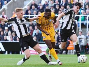 soi-keo-brighton-vs-newcastle-21h-18-10-2